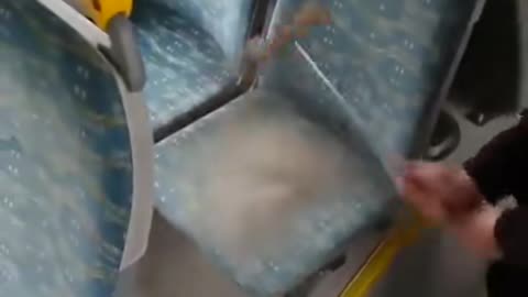 The reason bus seats have wild patterns and vibrant colours is to hide how dirty they are