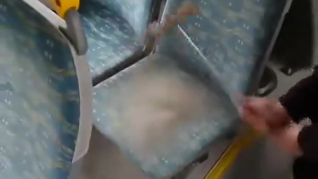 The reason bus seats have wild patterns and vibrant colours is to hide how dirty they are