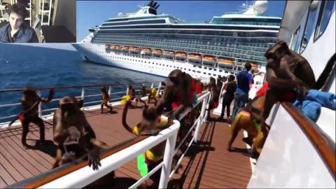 Outtake #1,097 Of Over 5 Monkeys Roam Around A Cruise Ship Fake Funny Parody Video