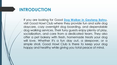 If you are looking for a Professional Dog Walker in Geylang Bahru