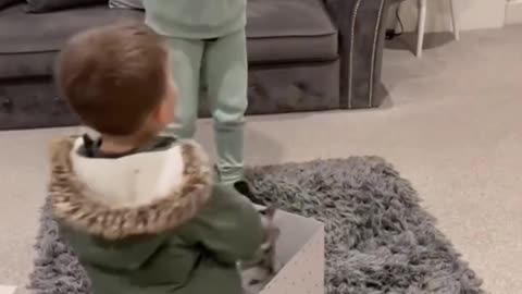 Puppies Surprise compilation Videos