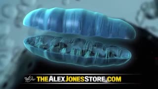 ALEX JONES - INFOWARS LIVE - ALEXJONES.NETWORK - THERE'S A WAR ON FOR YOUR MIND! ➡ THE ALEX JONES SHOW • WAR ROOM WITH OWEN SHROYER • THE AMERICAN JOURNAL WITH HARRISON SMITH • SUNDAY NIGHT LIVE WITH CHASE GEISER