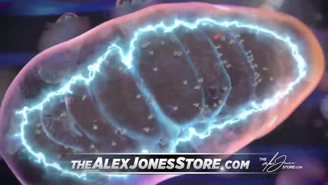 ALEX JONES - INFOWARS LIVE - ALEXJONES.NETWORK - THERE'S A WAR ON FOR YOUR MIND! ➡ THE ALEX JONES SHOW • WAR ROOM WITH OWEN SHROYER • THE AMERICAN JOURNAL WITH HARRISON SMITH • SUNDAY NIGHT LIVE WITH CHASE GEISER