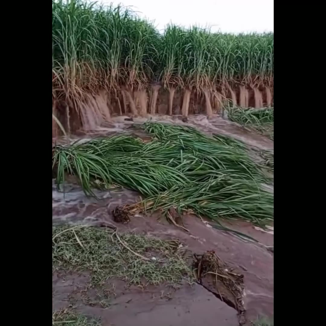 To create awareness about water floods in India, Punjab and Pakistan videos