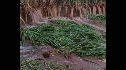 To create awareness about water floods in India, Punjab and Pakistan videos