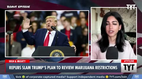 Trump's Weed Plan Ripping Apart MAGA