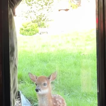 Someone came to visit you! So cute! I want one too!