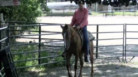 Skipper Calder & Cowboy-up Ministry bring horse training with a message at 11am.