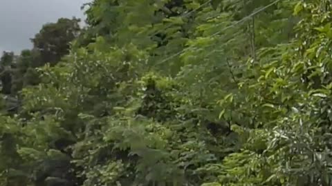 Green Street is San Jose Street in San Antonio, Zambales in the Philippines