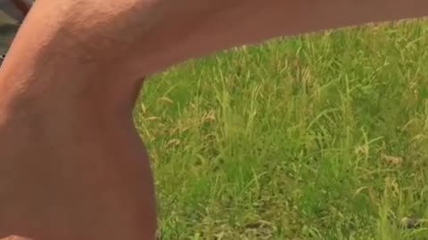 A DayZ Pact
