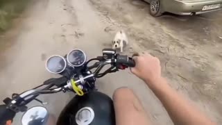 😂 You Won't Believe This Aggressive Bite! | FunFM