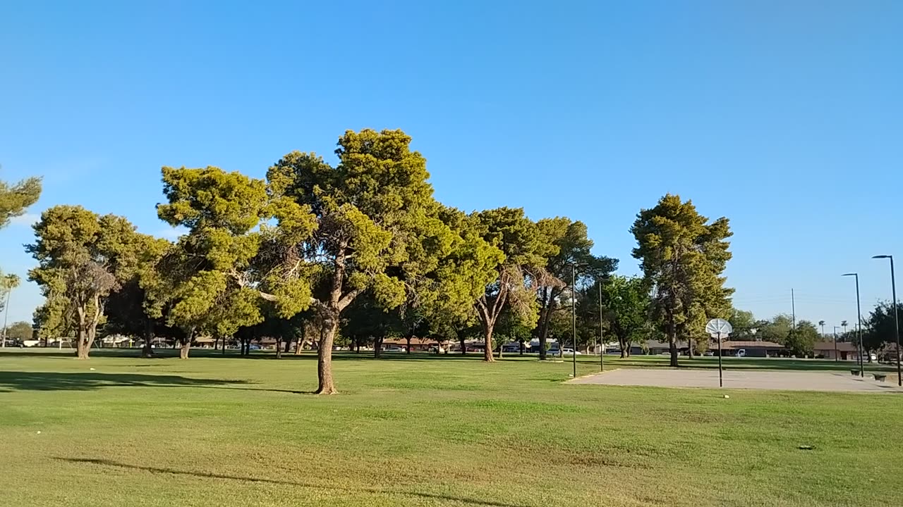 Support your local parks