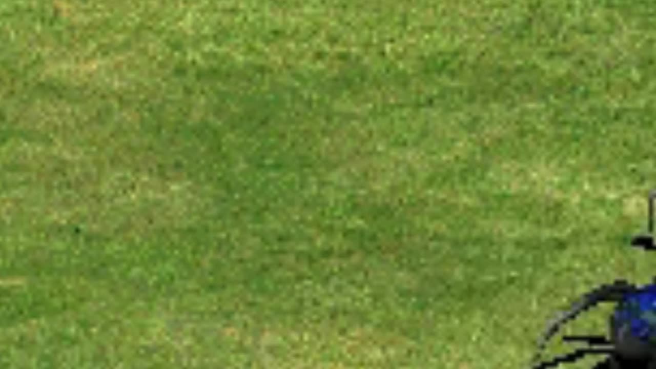 SPIDERS UNDER YOUR GRASS