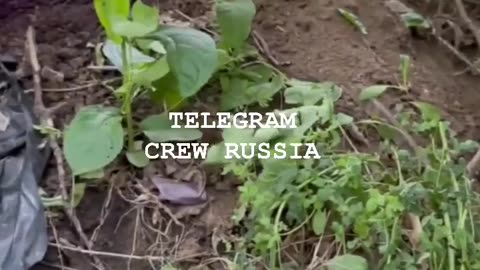 🎯🔥 Ukraine Russia War | RU POV Footage of FPV Drone Elimination | RCF
