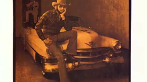 Hank Williams Jr - The Blues Man