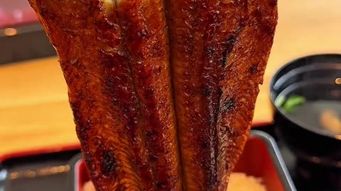 Unagi