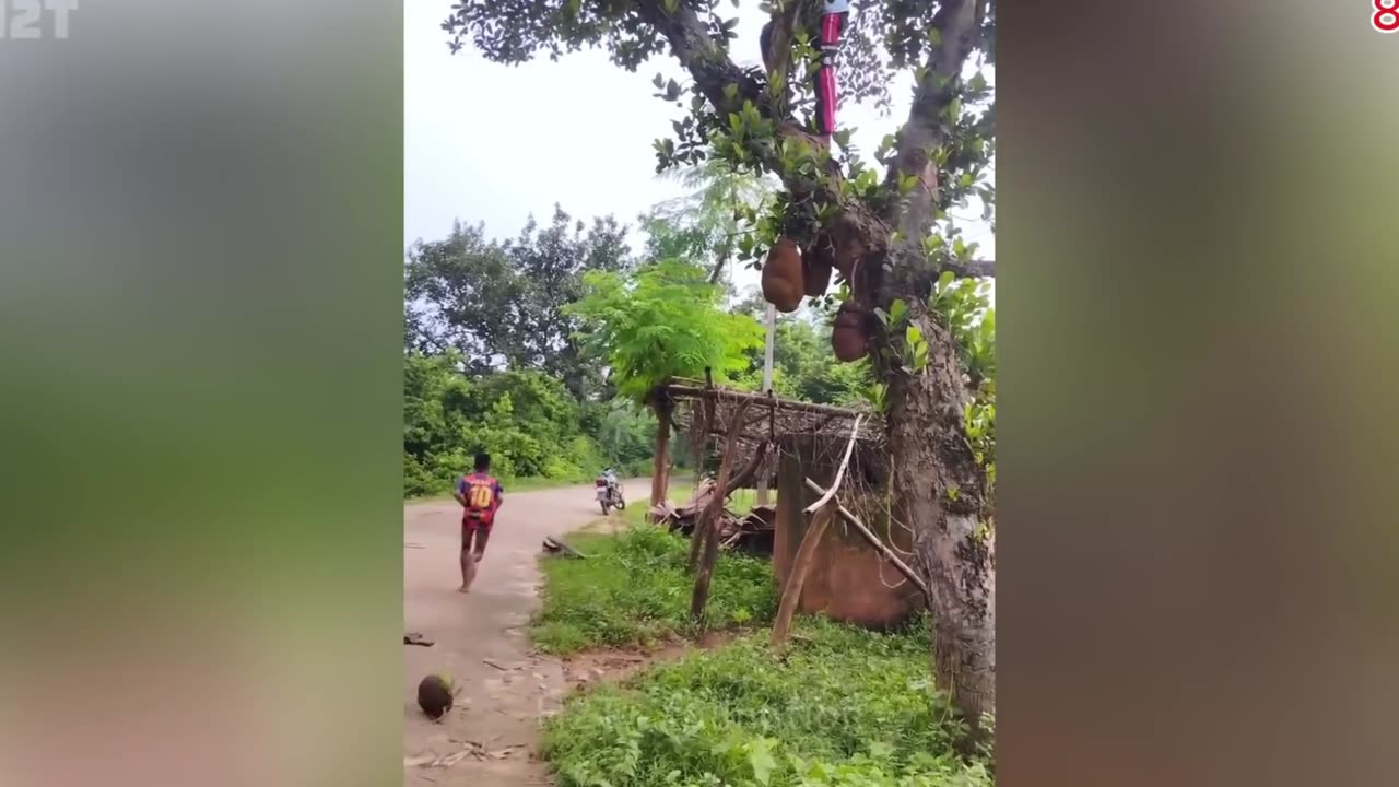 Top 100 Funniest Videos of All Time 😂😁 Try Not To Laugh