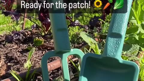 Precious Plastic Process