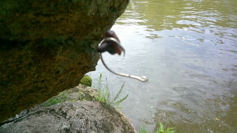 Reeled in a Hook!!