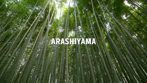 12 Most Beautiful Places to Visit in Japan 2025 🇯🇵
