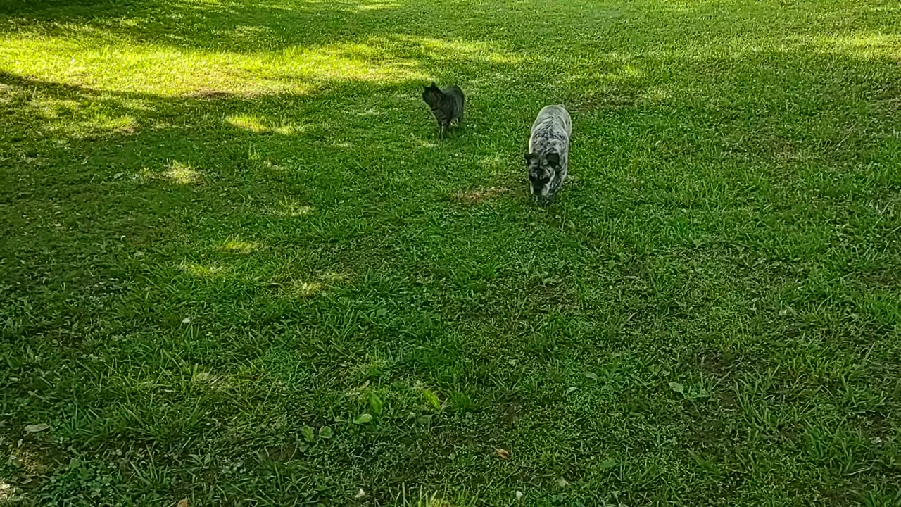 Side By Side. Sniff By Sniff