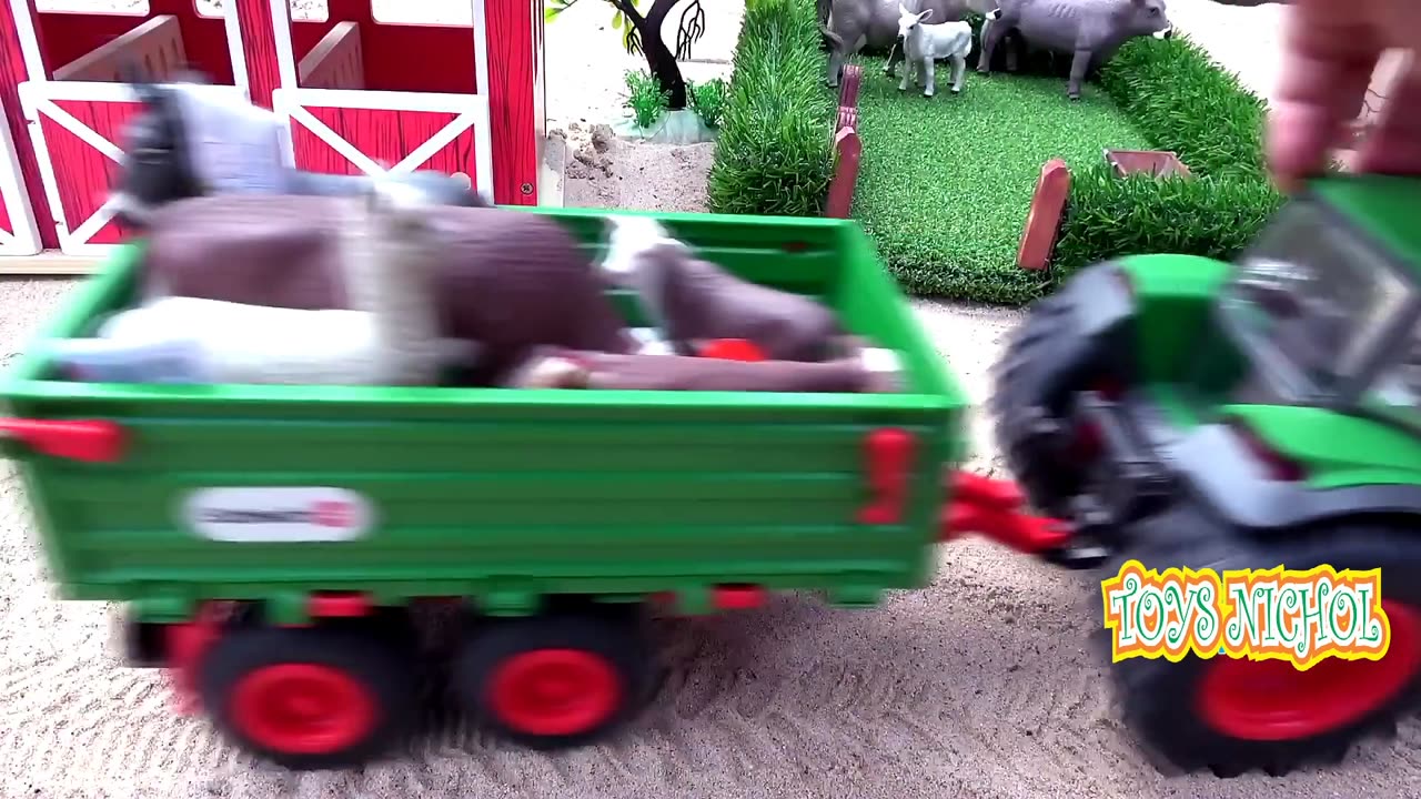 Carrying Four Boxes of Straw to Feed Cows and Buffaloes on the Farm