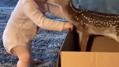 Baby Funny 😂🍼 #funny #fails #baby