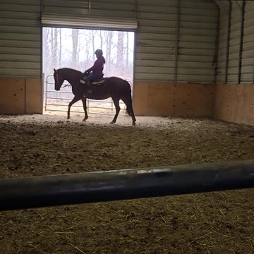 Kyla Velvet figure 8s