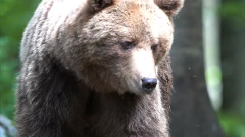 Be Persistent and Strong