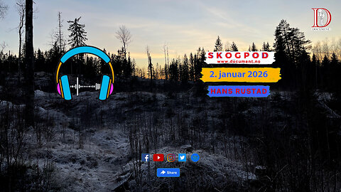 Skogpod 2. januar 2026