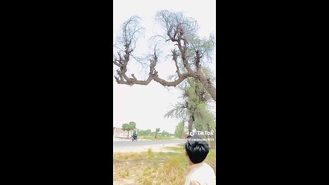 Islamic video