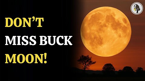 Don't Miss the Buck Moon - The Rare Lunar Standstill | WION Podcast