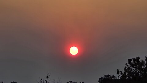 CHRISTIAN SAYS THERE ARE NO PROPHECIES IN THE TORAH (DEU 28)