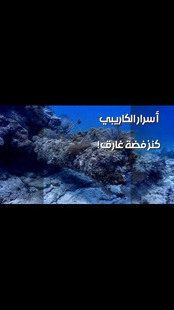 كنز الفضة الغارق: أسرار البحار الكاريبيّة!