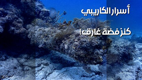 كنز الفضة الغارق: أسرار البحار الكاريبيّة!