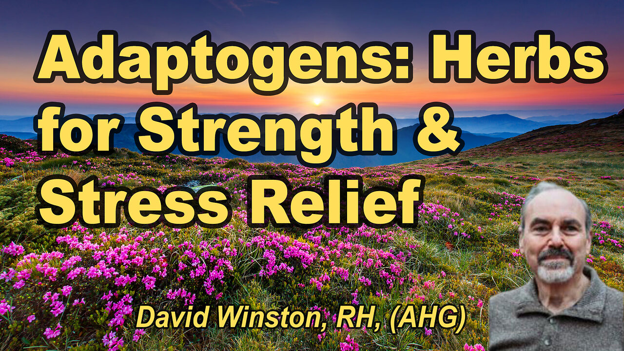 ADAPTOGENS, HERBS FOR STRENGTH, STAMINA AND STRESS RELIEF