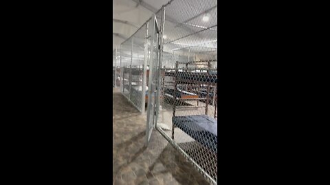 The new 'Alligator Alcatraz' detention facility in Florida, will hold thousands of illegal migrants