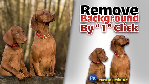 Remove Background by One Click in photoshop