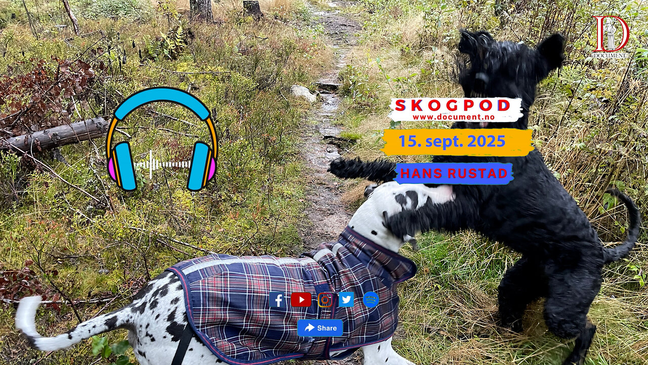 Skogpod 15. september 2025