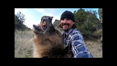 Man and Grizzly Bear - Rewriting History