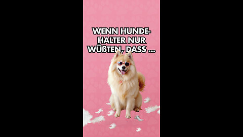 Wenn Hundehalter nur wüßten, dass ...