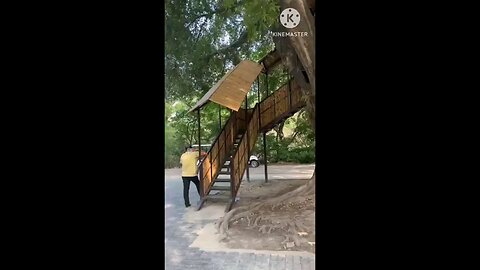 satisfying Video