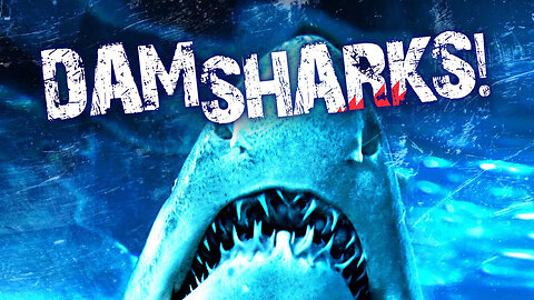 Layoffs and 'Team Ship': Dark Company Humor