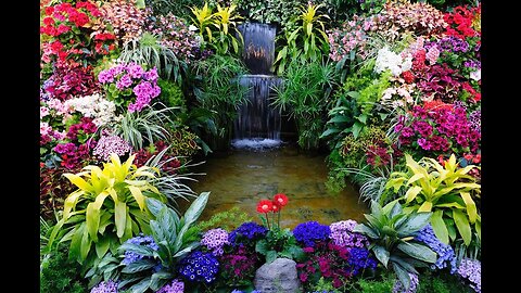 Live from the Garden