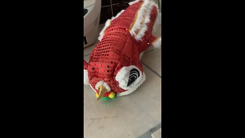 Dragon suit - what’s under it😻