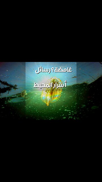 أصوات المحيطات: رسائل أم ألغاز؟ ️