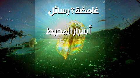 أصوات المحيطات: رسائل أم ألغاز؟ ️