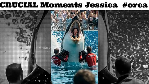 CRUCIAL Moments Jessica Radcliffe #jessica #radcliffe #dolphins #orca