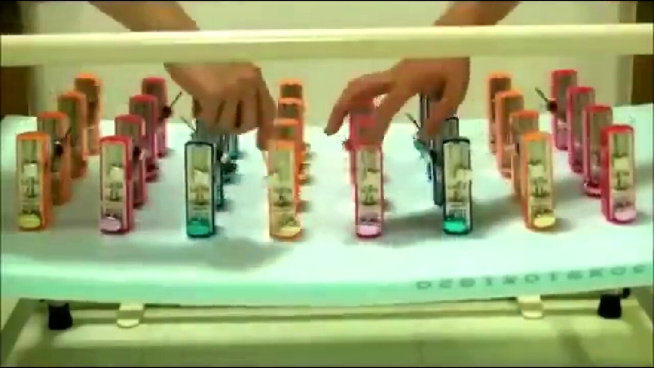 METRONOME SYNCHRONIZATION IS AN ILLUSTRATION OF CONNECTION/ ENTANGLEMENT/ BEING ON THE SAME PAGE 💖