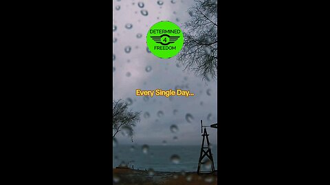 Every Single Day...